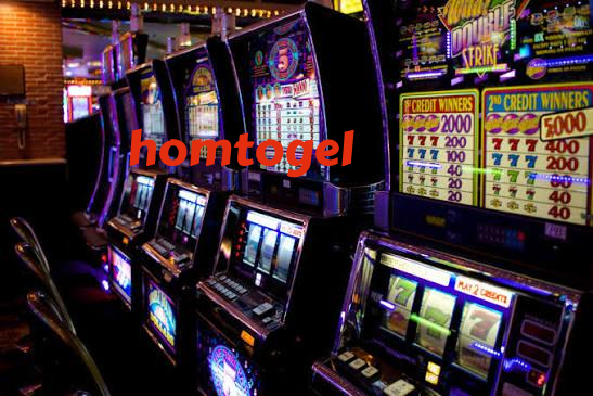 homtogel slide 1
