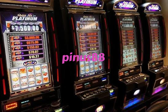 pinus88 slide 1